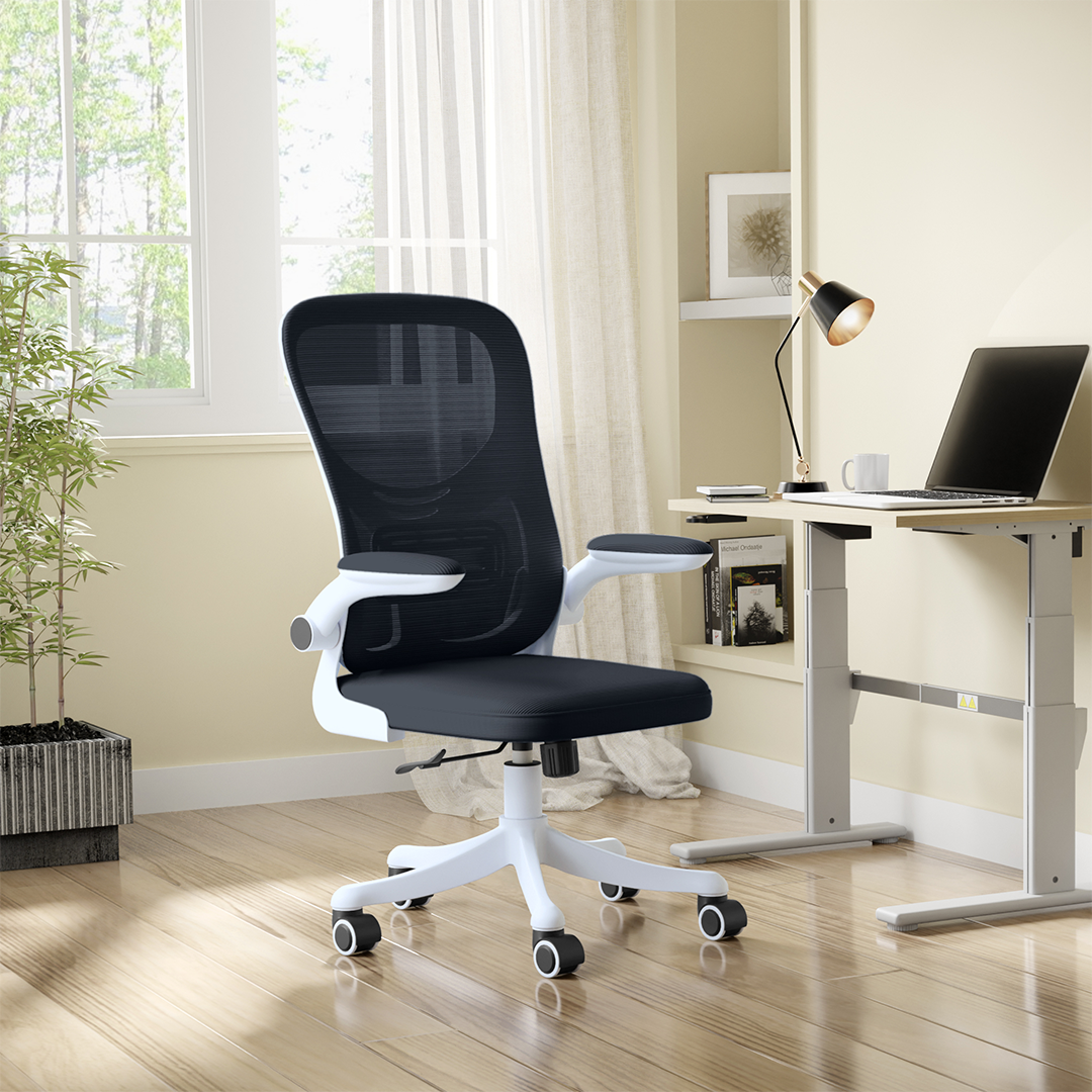 Alex Daisy Flexo Ergonomic Office Chair Study Chair Computer Chair wi